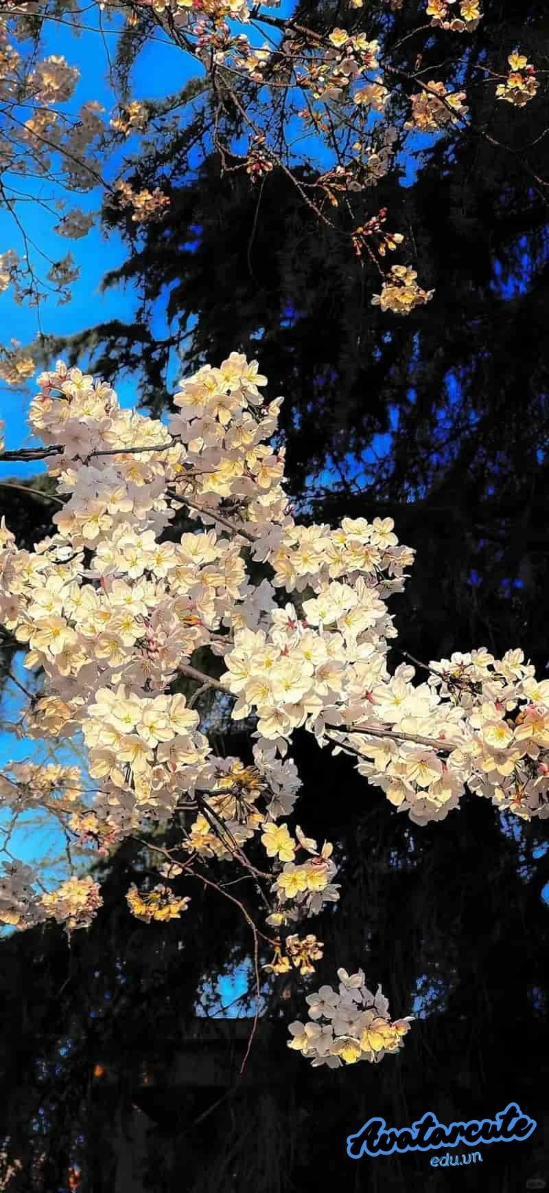 Tải hình nền 3D 4k mới