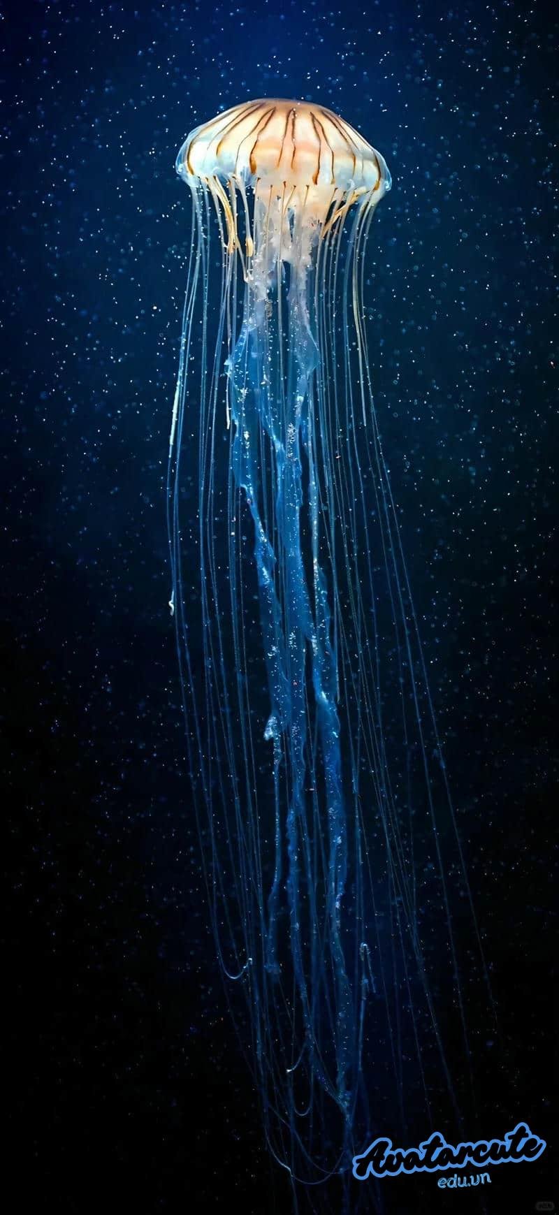 Tải hình nền 3D đẹp nhất thế giới mới