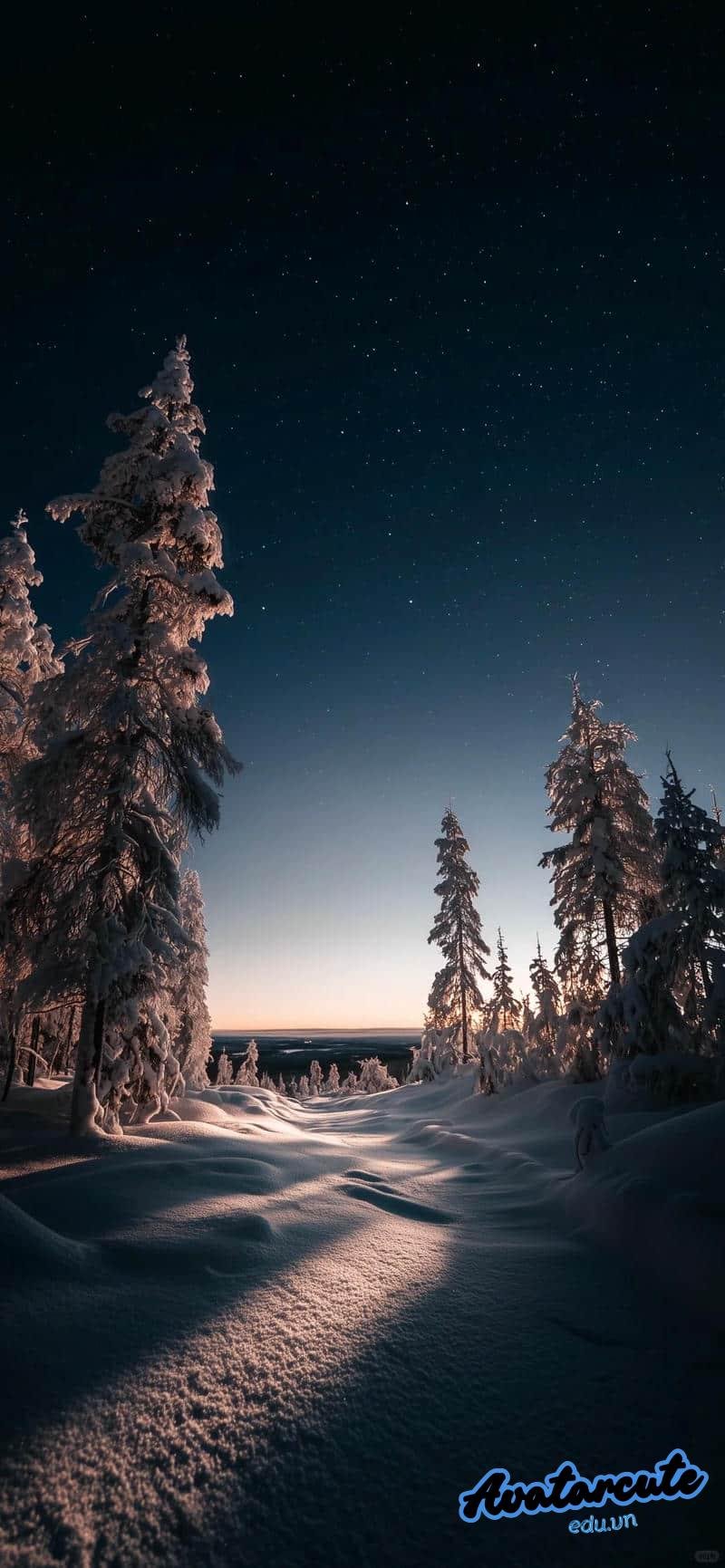 Tải hình nền 8k mới