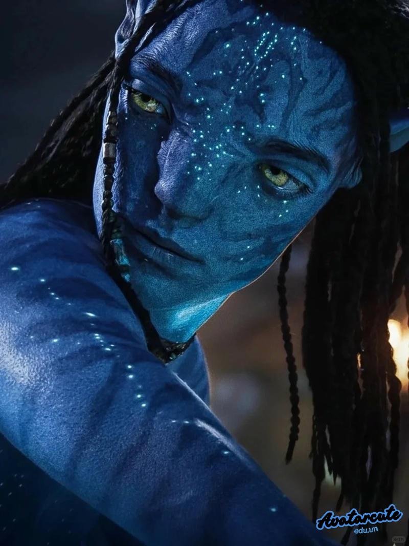 Xem avatar movie chất lượng cao