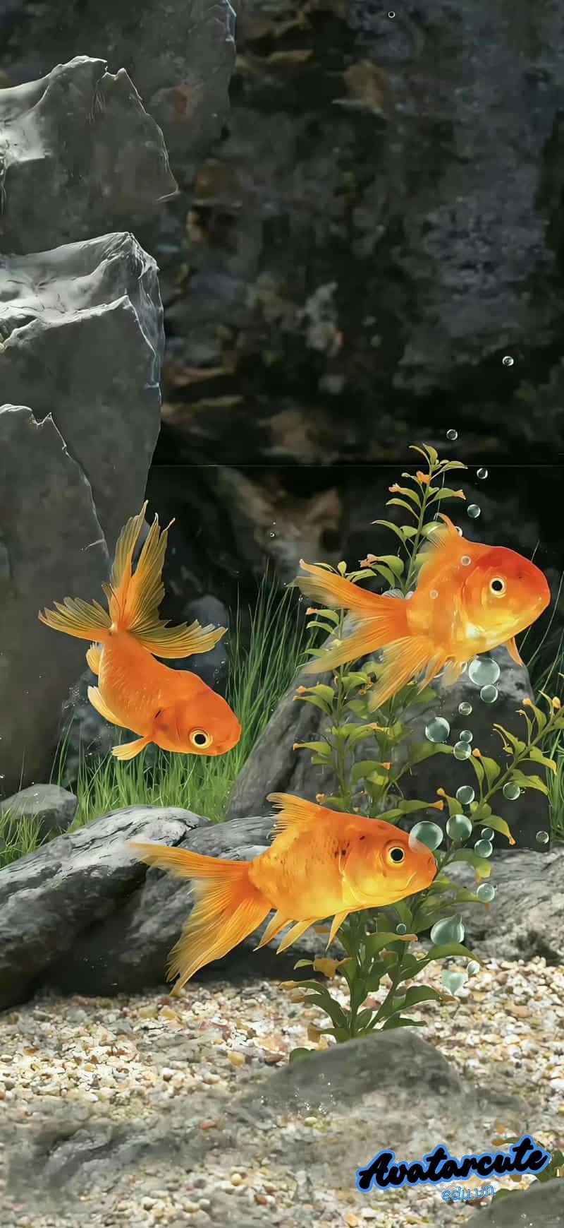 Xem bộ hình nền 3D đẹp nhất thế giới miễn phí