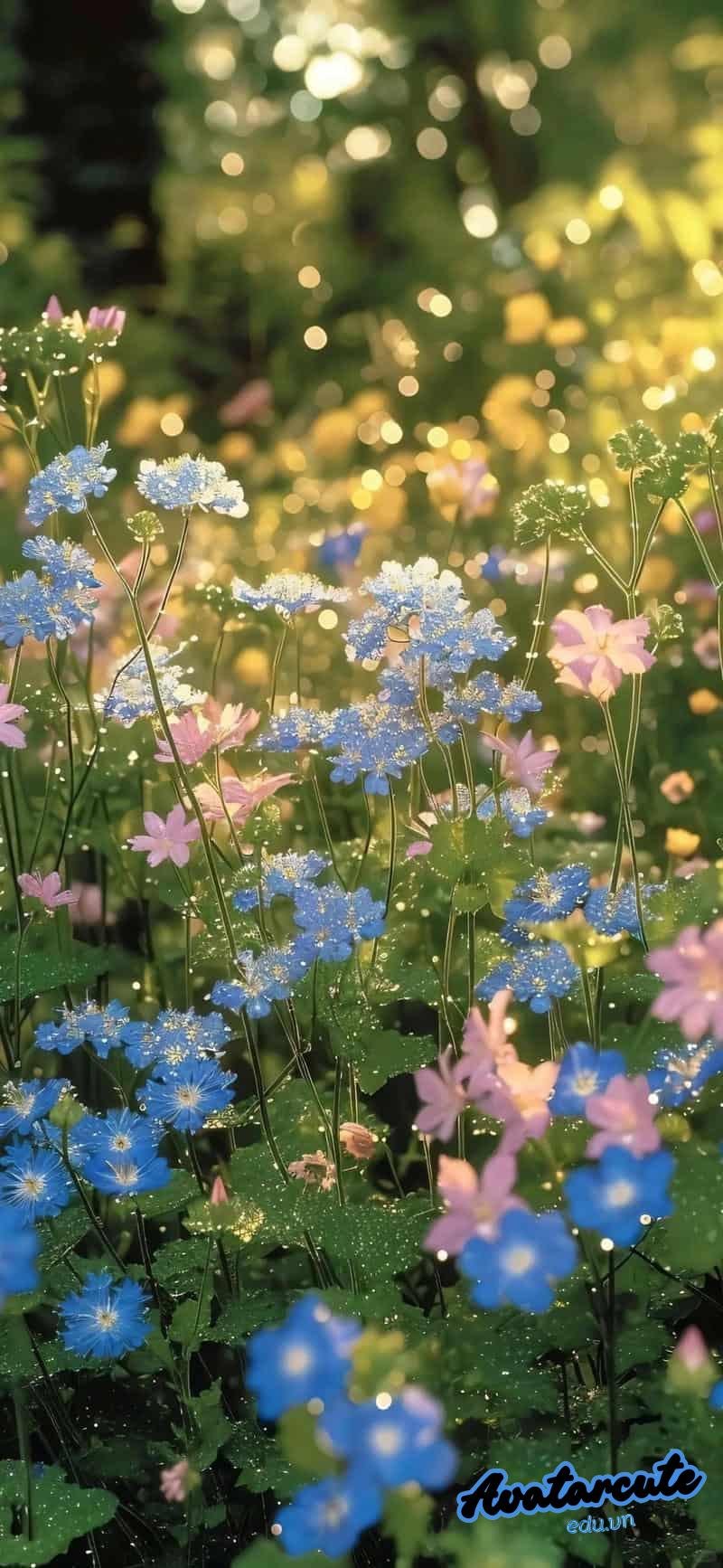 Xem hình nền 3D đẹp nhất thế giới chất lượng cao