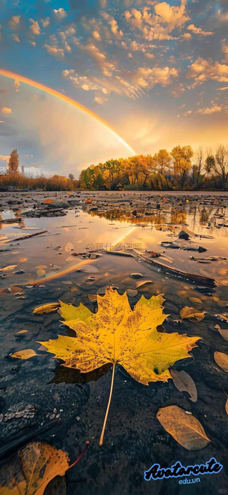 Xem hình nền 4D chất lượng