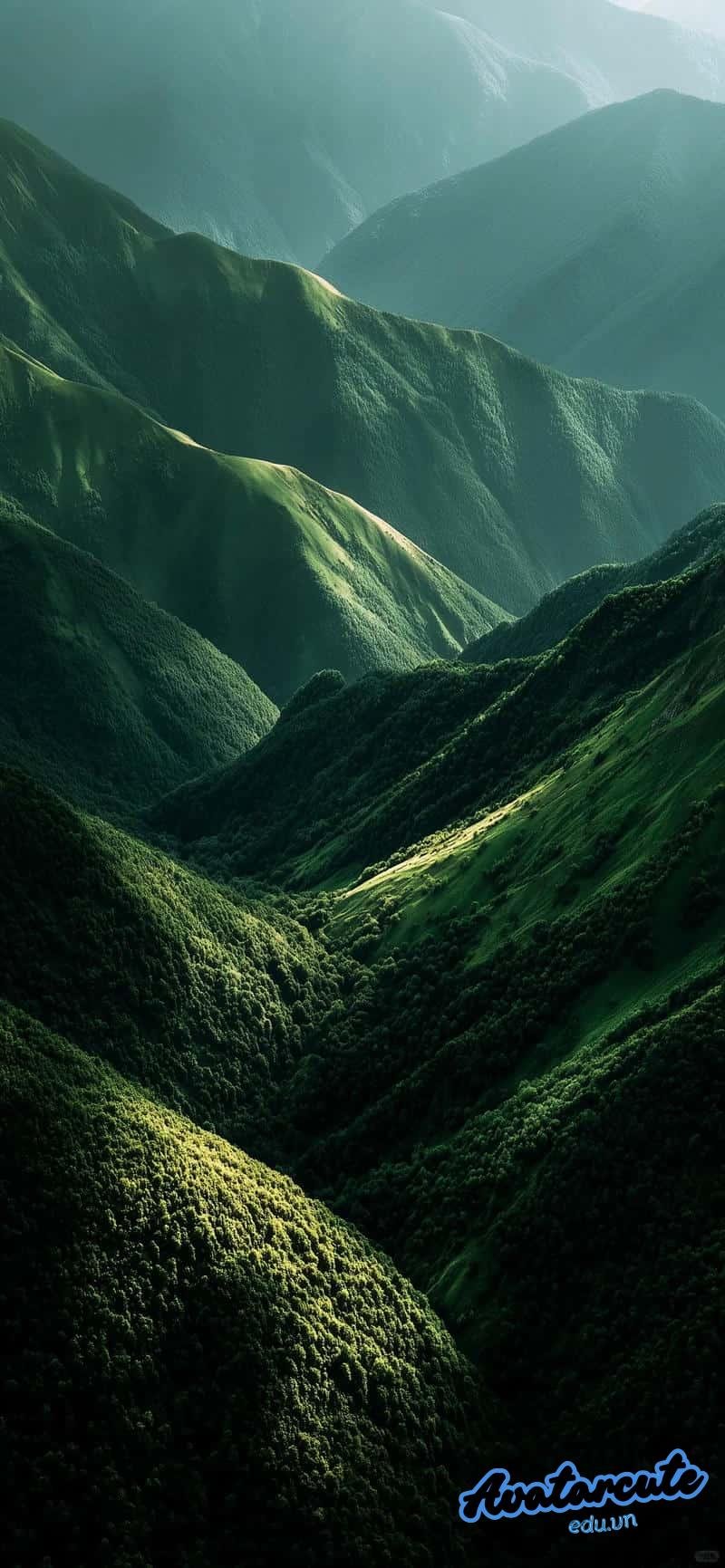 Xem hình nền 8k đẹp