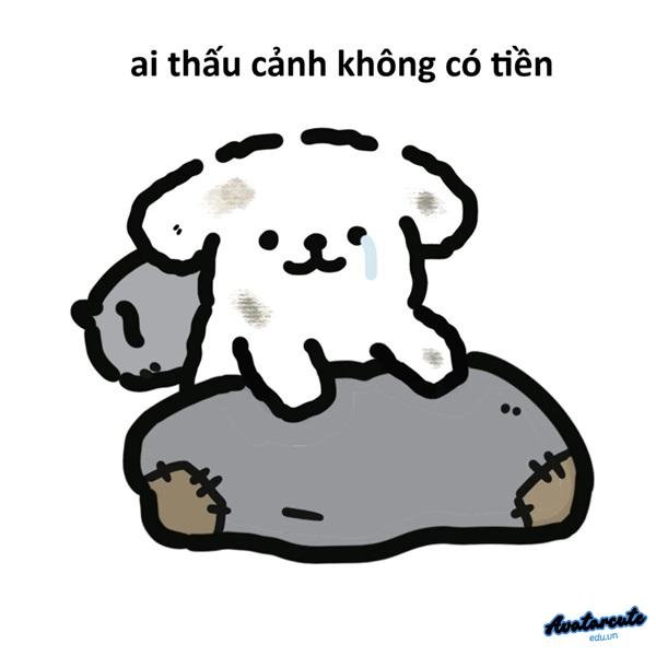 ai thấu cảnh không tiền