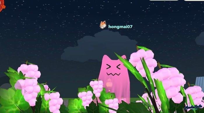 ảnh đại diện khu rừng ma thuật