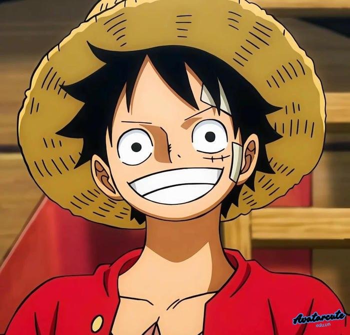 ảnh đại diện luffy bounty