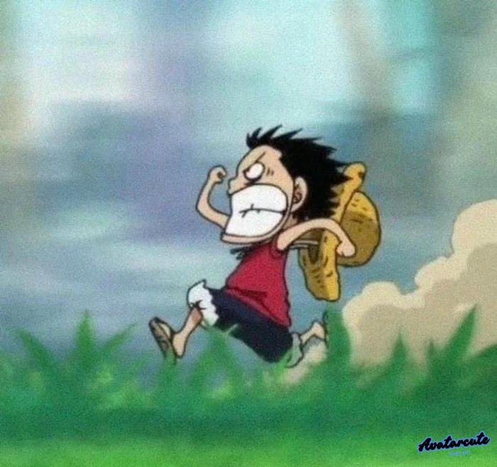 ảnh đại diện luffy one piece