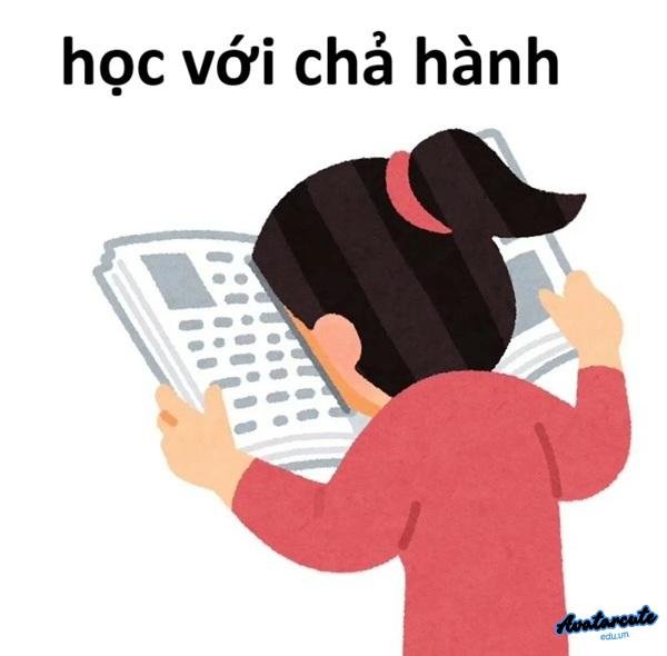 ảnh meme học bài