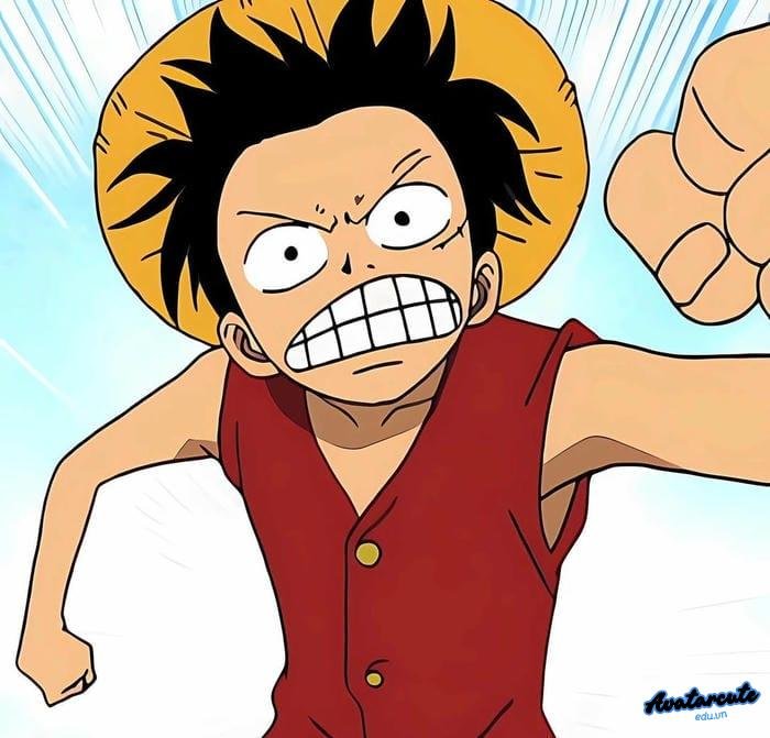 avatar luffy cá tính