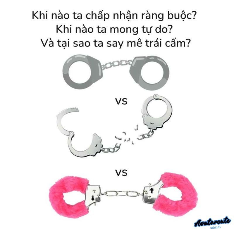 cách dậy học mới về trái cấm