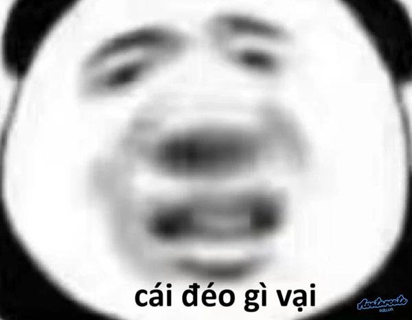 cái đéo gì vậy