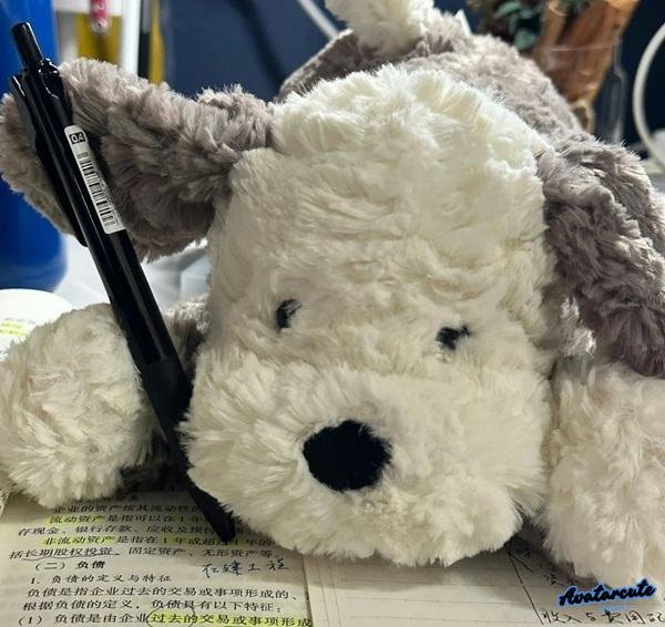 chó trăgs học bài