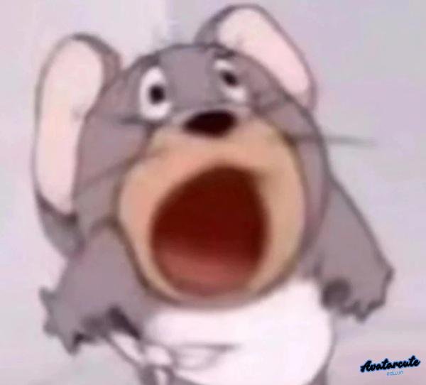 chuột há cả mồm