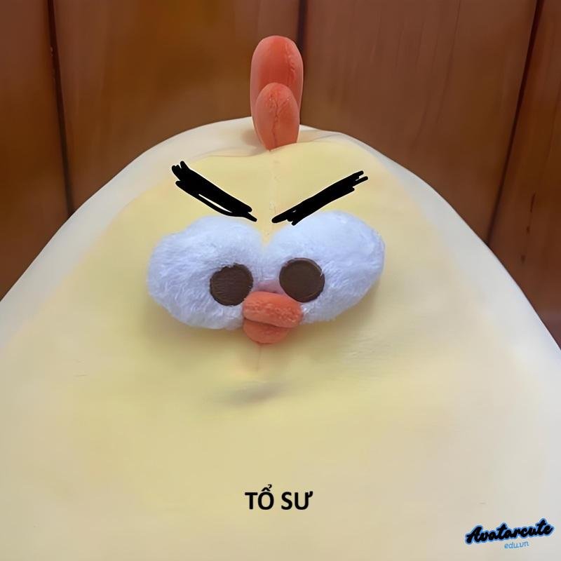 hinh anh meme gà