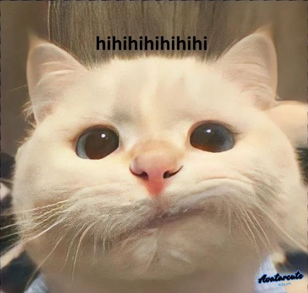 hình ảnh meme hihi