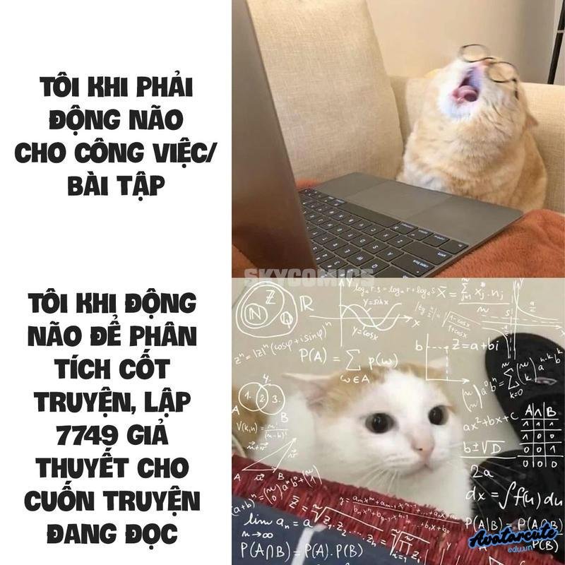 hinh ảnh meme học tập