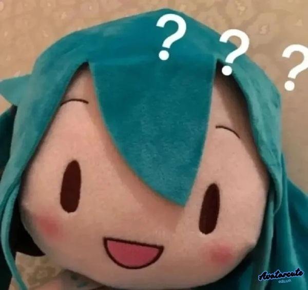 hình anh meme hỏi chấm