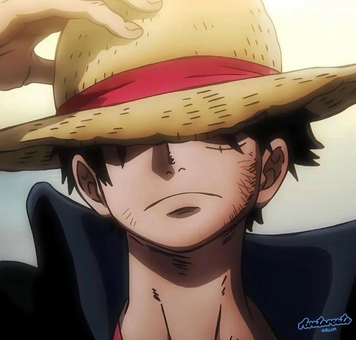 hình đại diện luffy anime