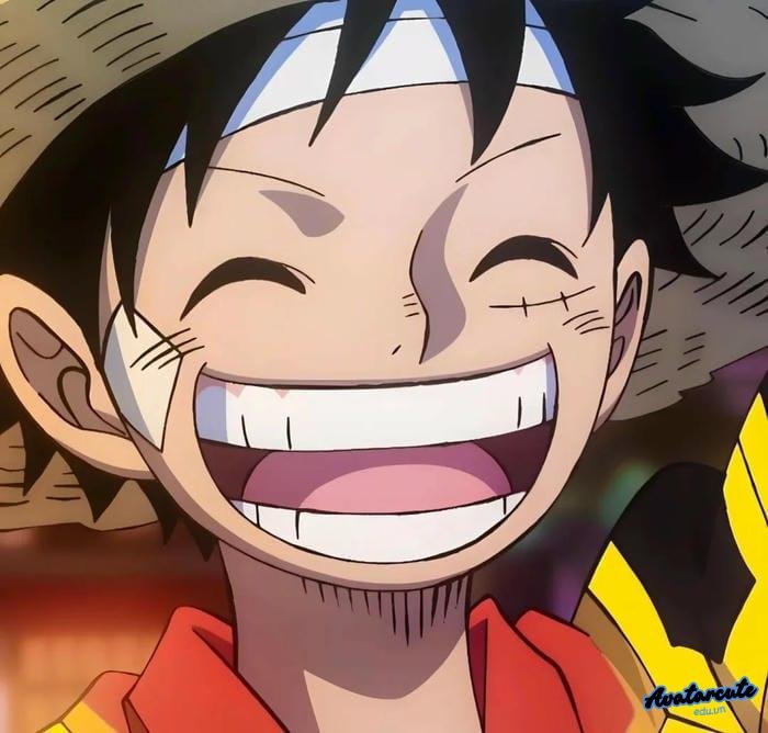 hình đại diện luffy gomugomu