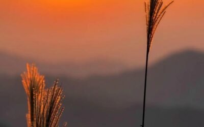 hình nền bình minh