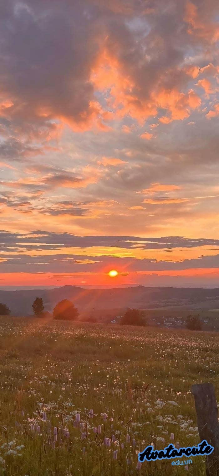 hình nền bình minh đẹp full hd