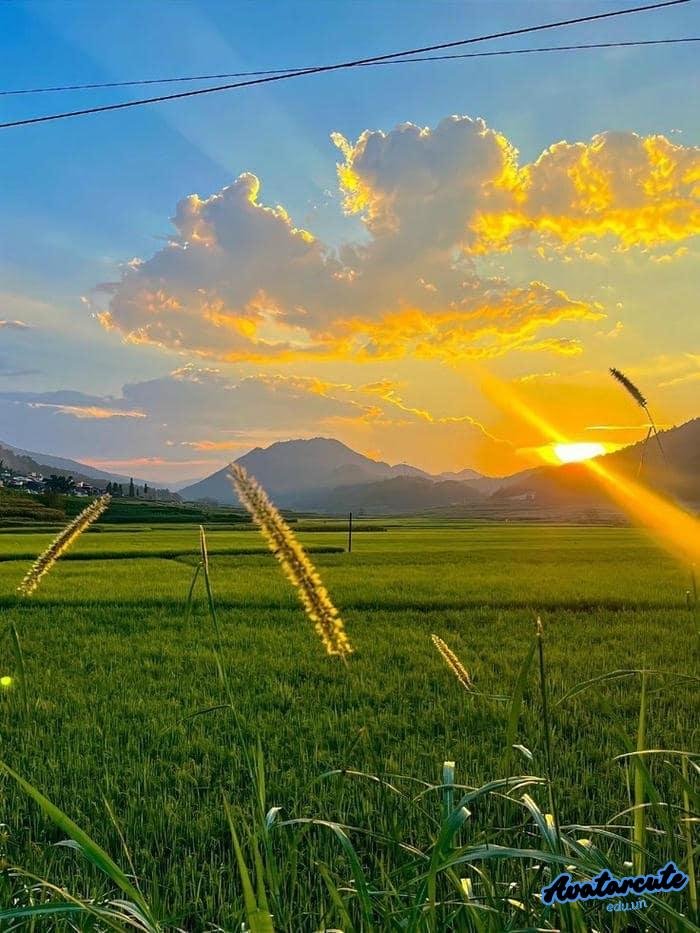 hình nền bình minh đẹp nhất 4k