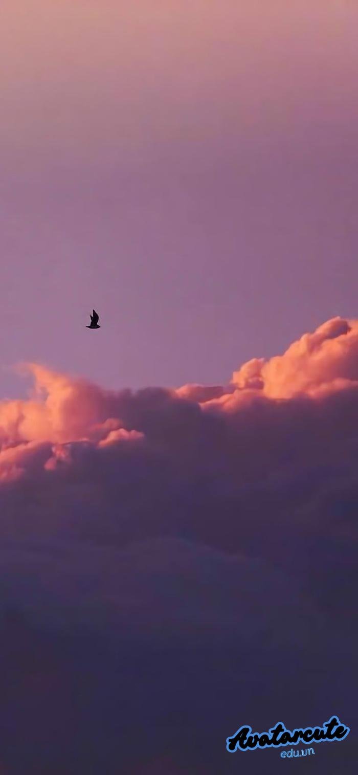 hình nền bình minh hd siêu nét