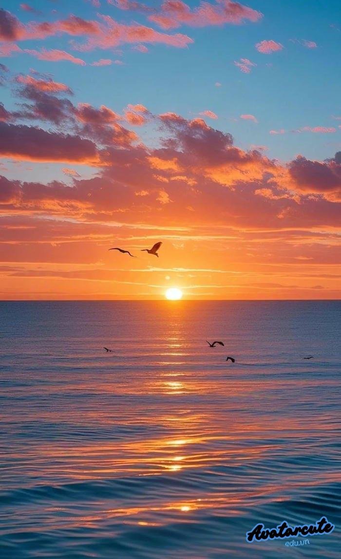 hình nền bình minh trên biển 4k