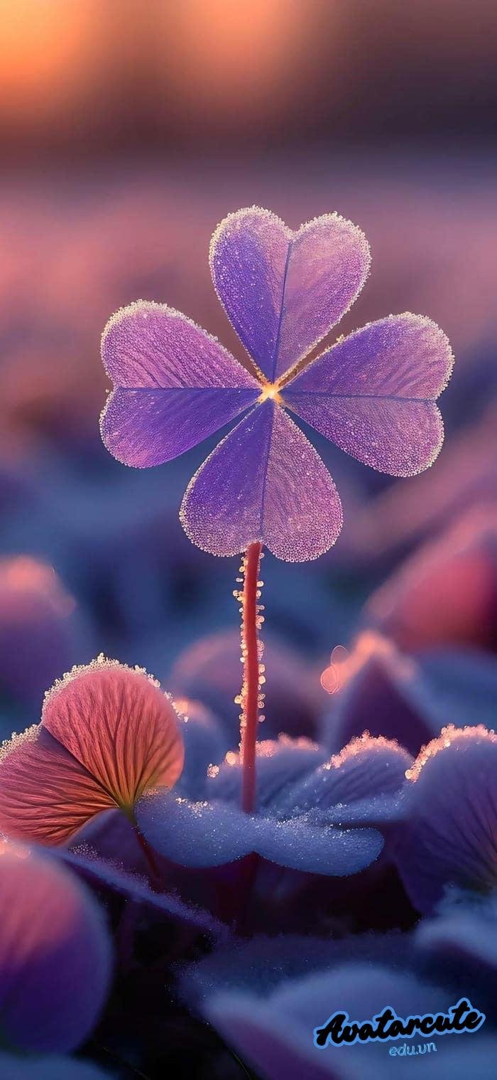 hình nền bình yên đẹp nhất nét