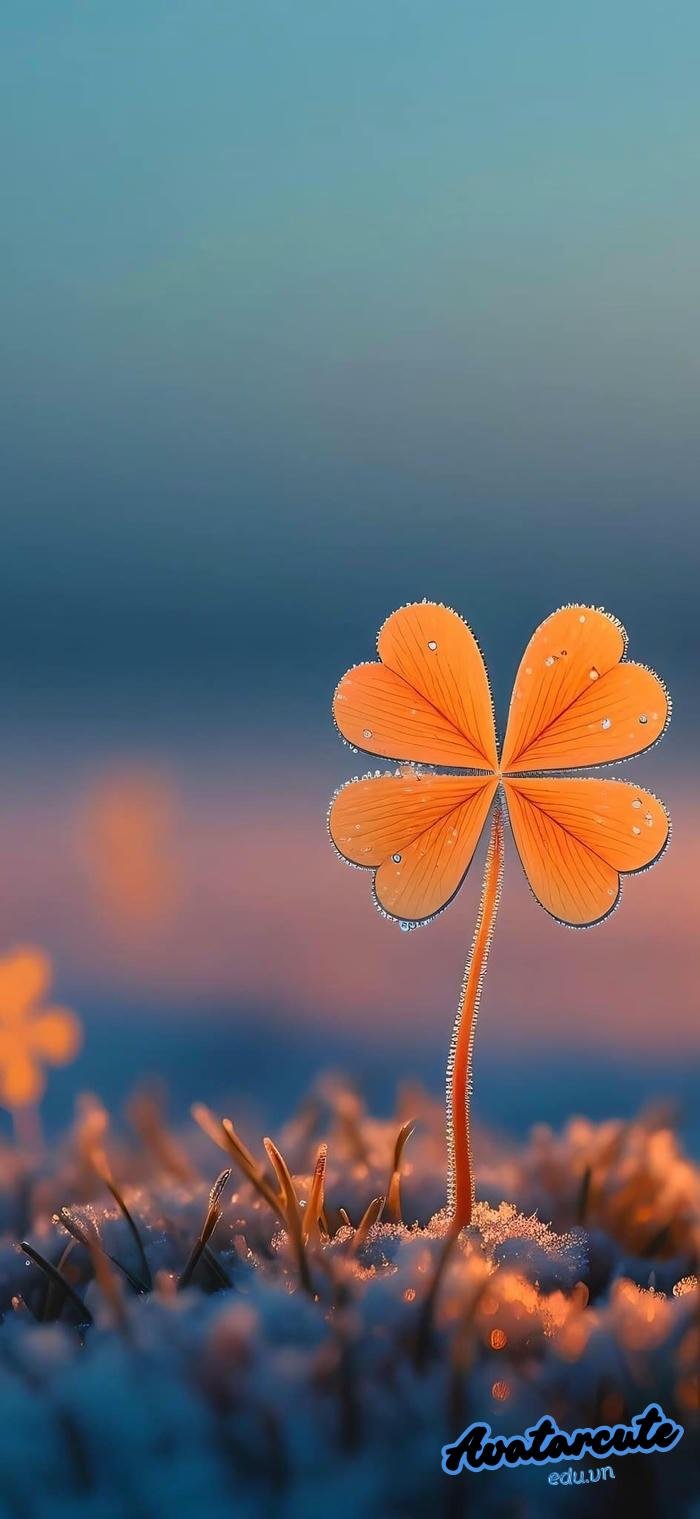 hình nền bình yên siêu nét 4k