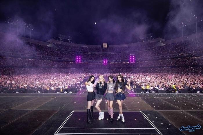 hình nền blackpink biểu diễn full hd