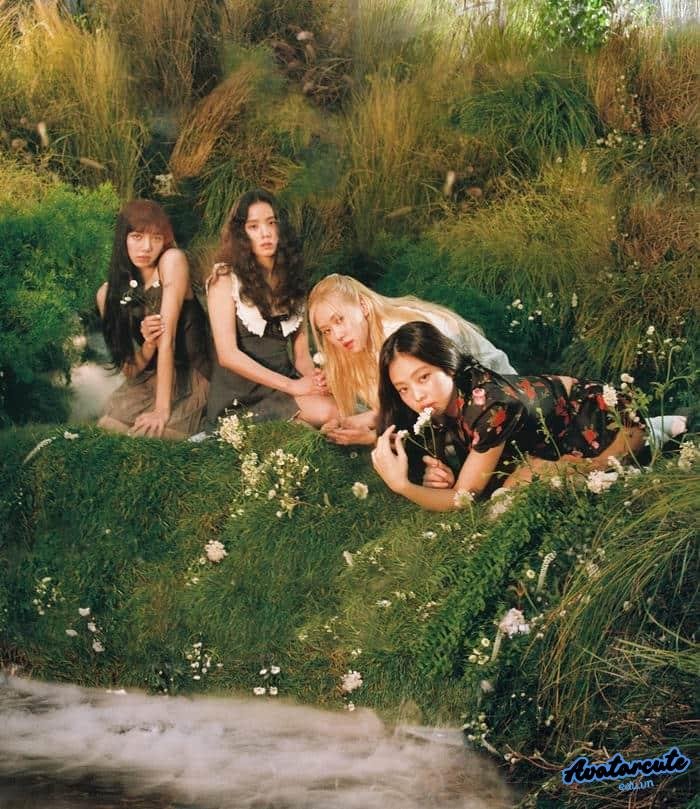 hình nền blackpink cực nét hd