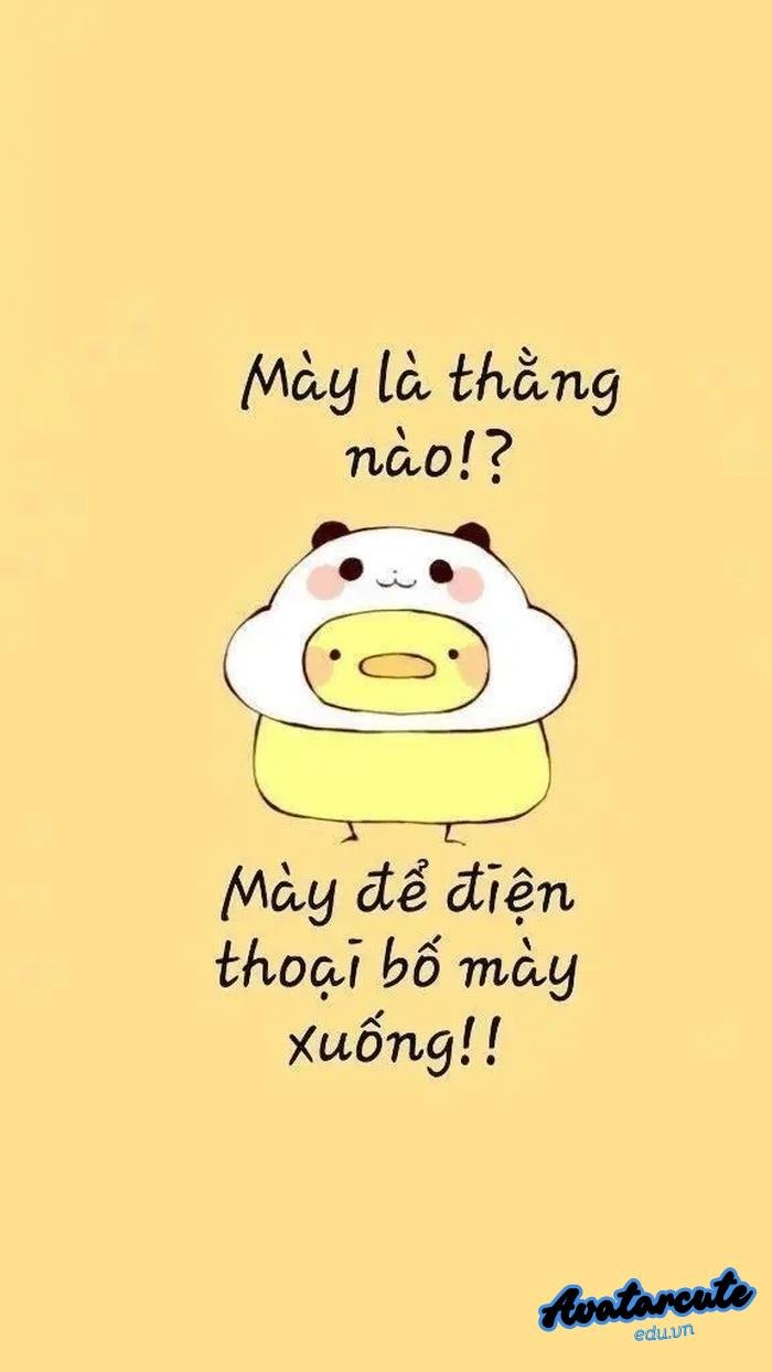 hình nền bỏ điện thoại tao xuống buồn cười nhất