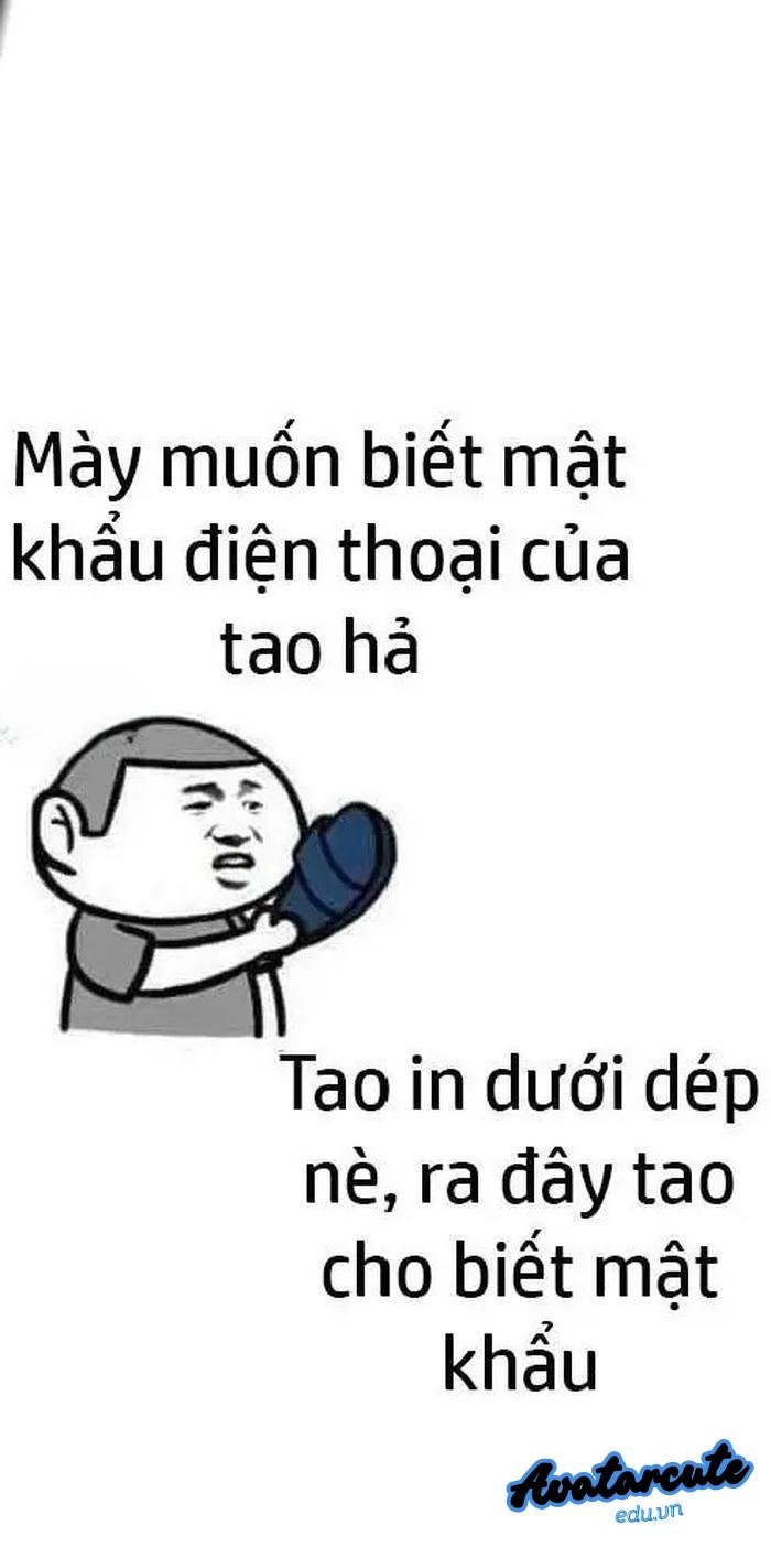 hình nền bỏ điện thoại tao xuống buồn cười