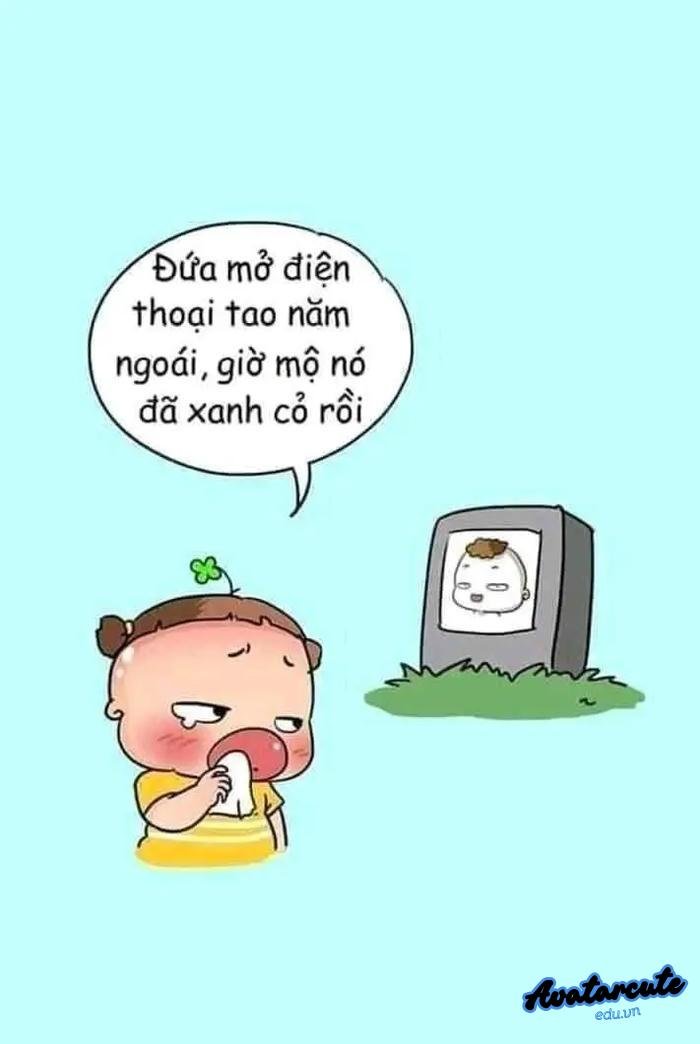 hình nền bỏ điện thoại tao xuống chế