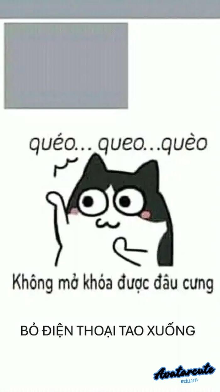 hình nền bỏ điện thoại tao xuống chó đen