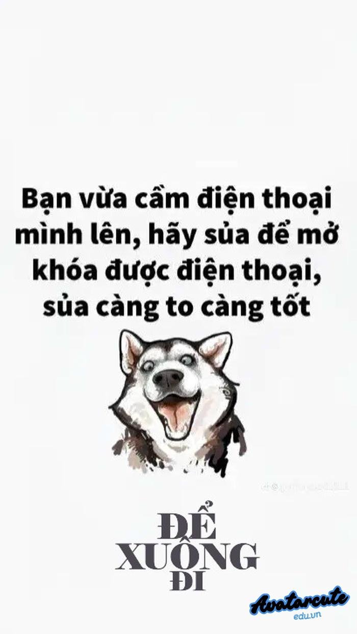 hình nền bỏ điện thoại tao xuống doạ nạt