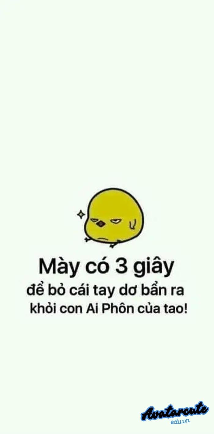 hình nền bỏ điện thoại tao xuống gà vàng