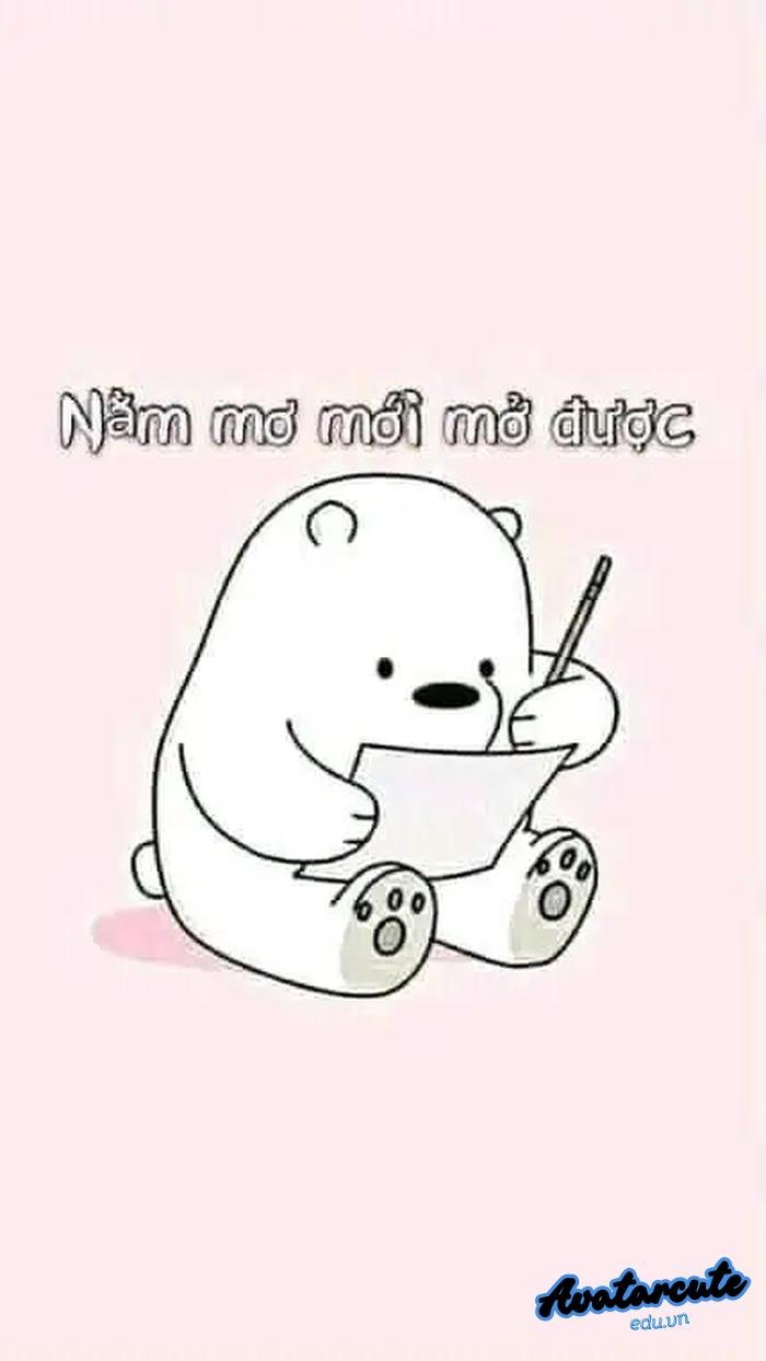 hình nền bỏ điện thoại tao xuống gấu trắng