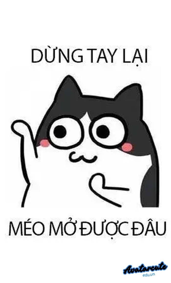 hình nền bỏ điện thoại tao xuống hài huoc