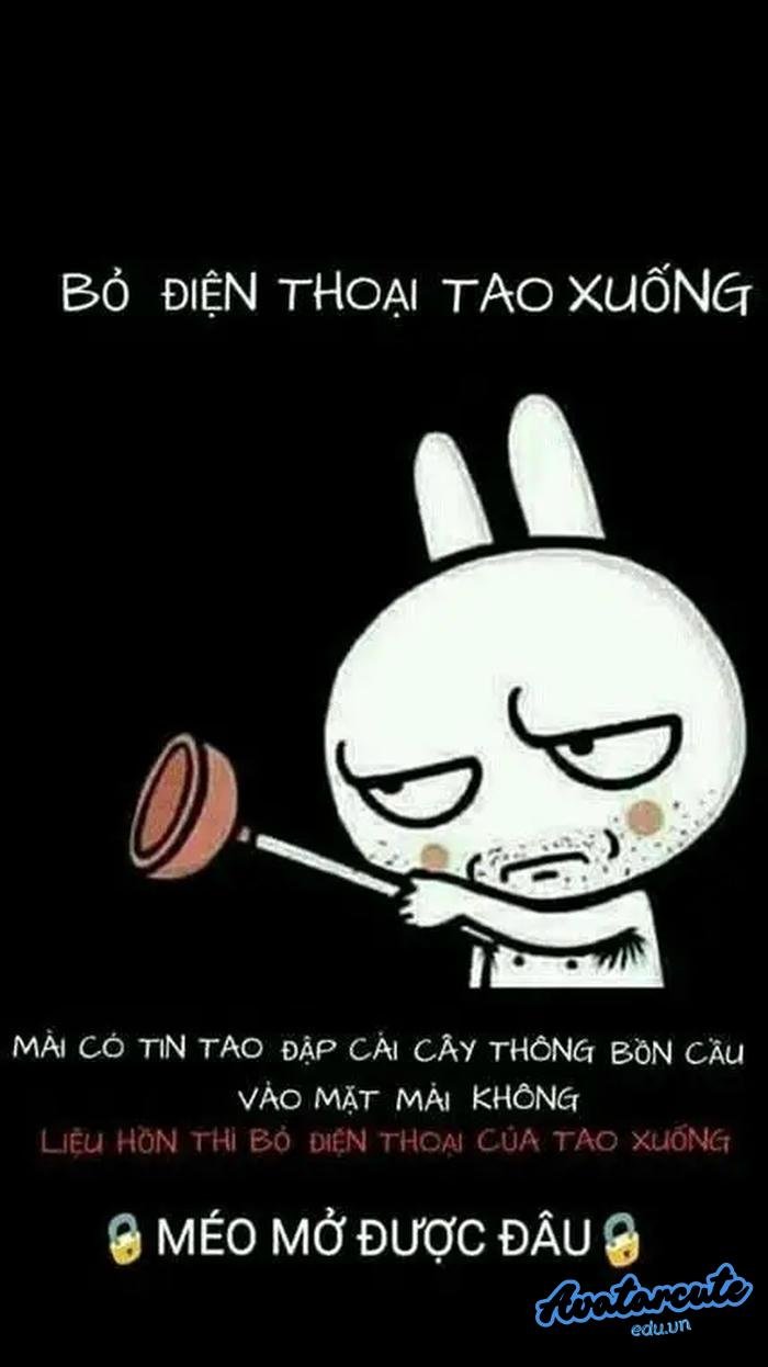 hình nền bỏ điện thoại tao xuống hài hước vô cùng