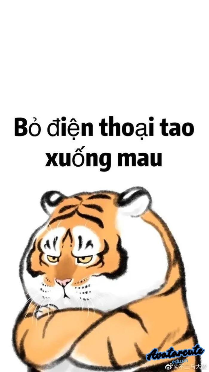 hình nền bỏ điện thoại tao xuống hổ