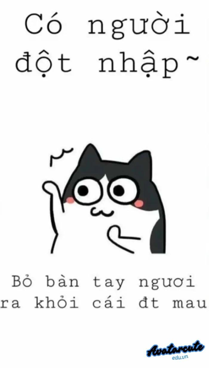 hình nền bỏ điện thoại tao xuống lẹ lên