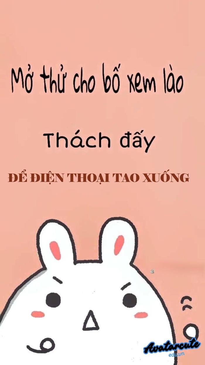 hình nền bỏ điện thoại tao xuống mau