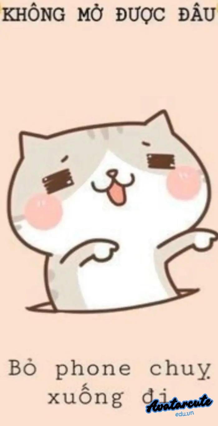 hình nền bỏ điện thoại tao xuống mèo hề