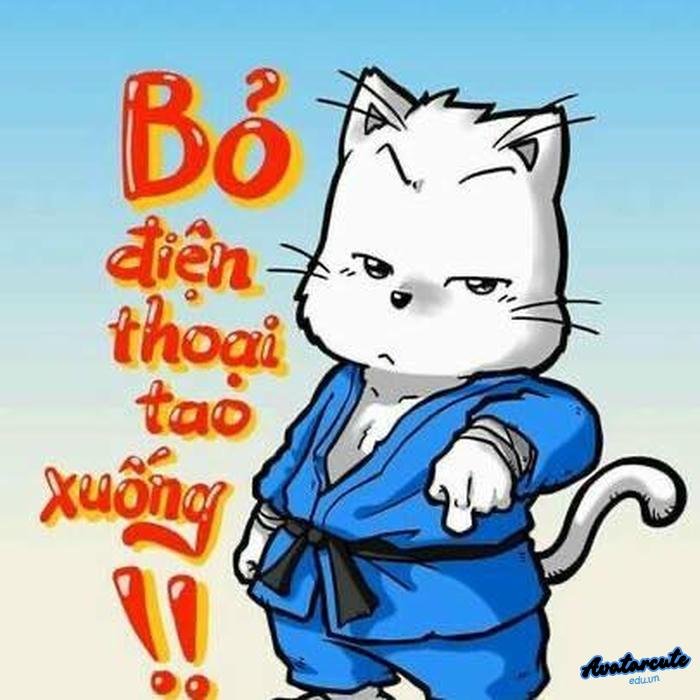 hình nền bỏ điện thoại tao xuống nhanh