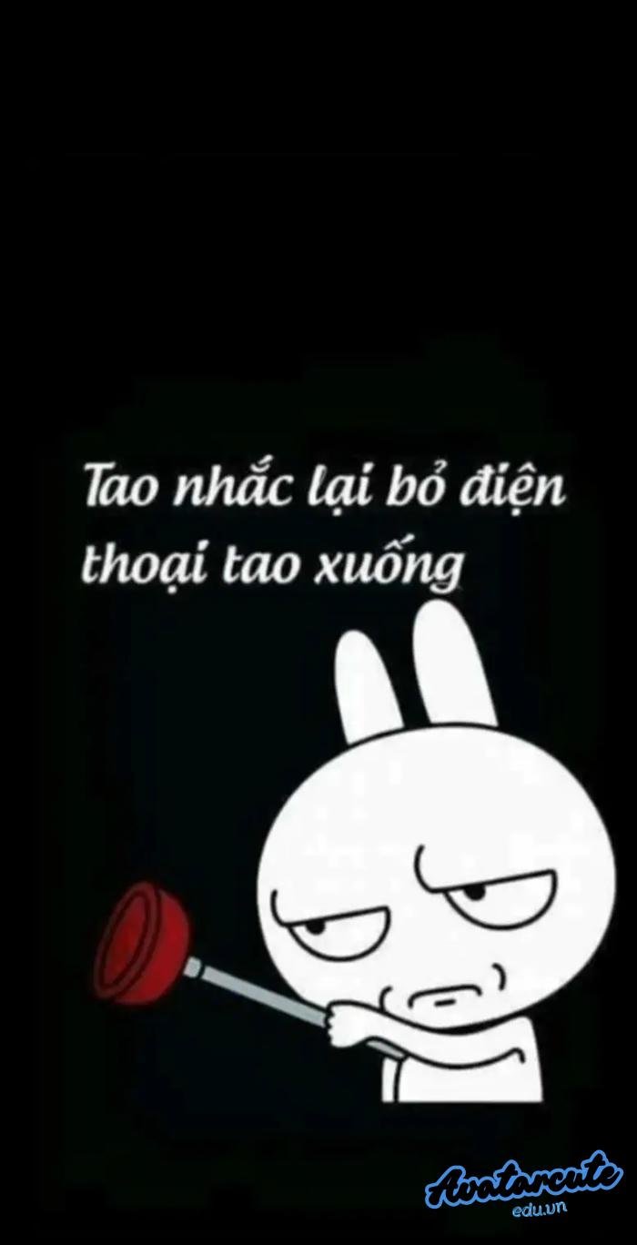 hình nền bỏ điện thoại tao xuống thỏ