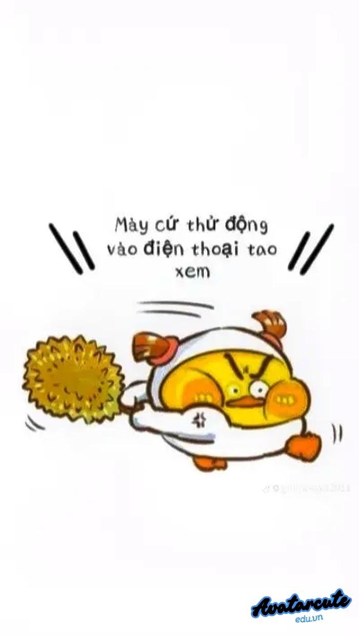 hình nền bỏ điện thoại tao xuống vịt