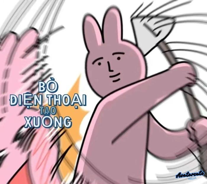 hình nền bỏ điện thoại tao xuống